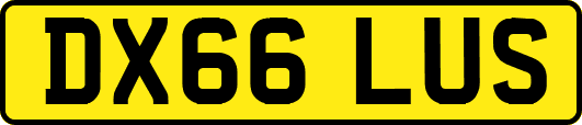 DX66LUS