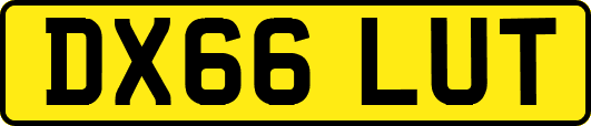 DX66LUT