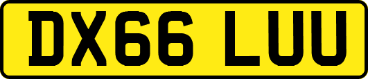DX66LUU