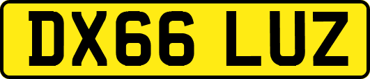 DX66LUZ