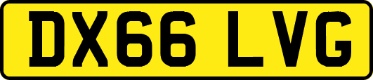 DX66LVG