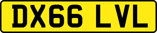 DX66LVL
