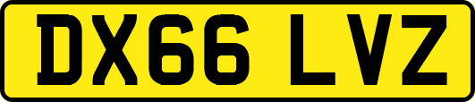 DX66LVZ