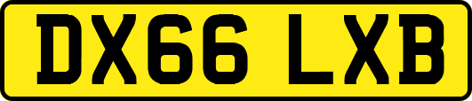 DX66LXB