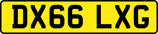 DX66LXG