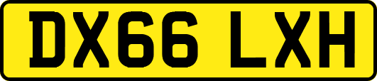 DX66LXH