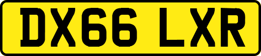 DX66LXR
