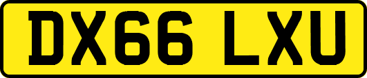 DX66LXU