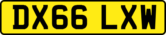 DX66LXW