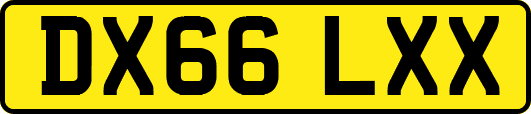 DX66LXX
