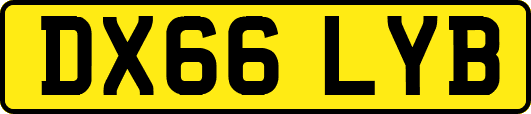DX66LYB
