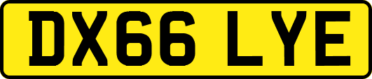 DX66LYE