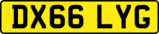 DX66LYG