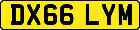 DX66LYM