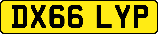 DX66LYP