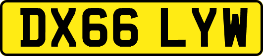 DX66LYW