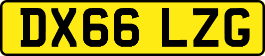 DX66LZG