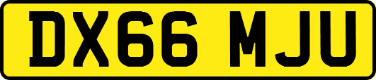 DX66MJU