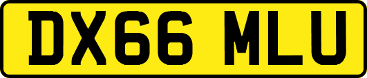 DX66MLU