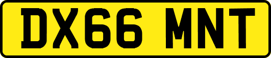 DX66MNT
