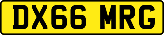 DX66MRG