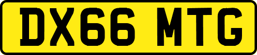 DX66MTG