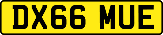 DX66MUE
