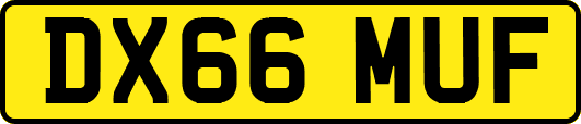 DX66MUF