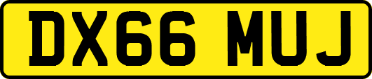 DX66MUJ