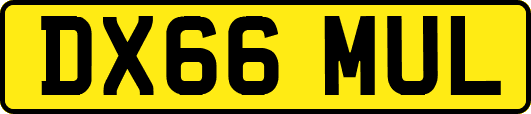 DX66MUL