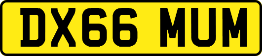 DX66MUM