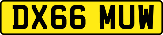 DX66MUW