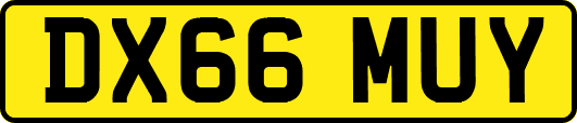 DX66MUY