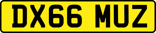 DX66MUZ