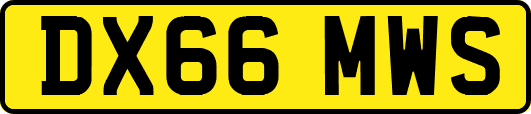 DX66MWS