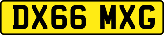 DX66MXG