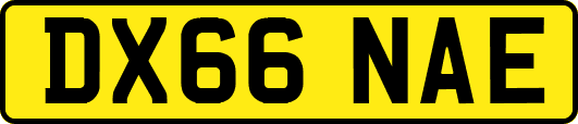 DX66NAE