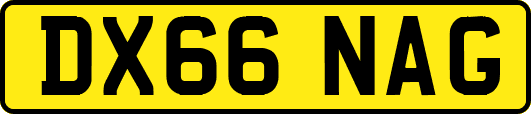 DX66NAG