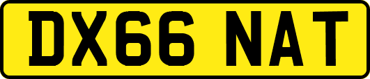 DX66NAT