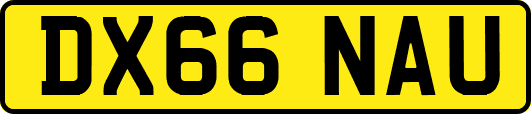 DX66NAU