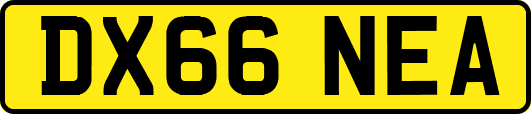 DX66NEA