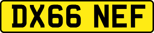 DX66NEF