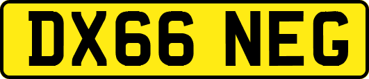DX66NEG