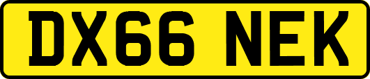 DX66NEK