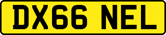 DX66NEL