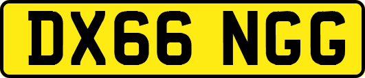 DX66NGG