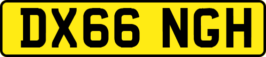 DX66NGH