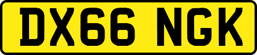 DX66NGK