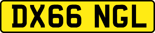 DX66NGL