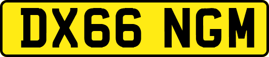 DX66NGM